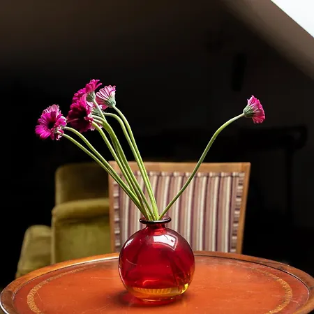 Easy Rent- Furmanska Old Town, 24h Check-in 公寓 卢布林